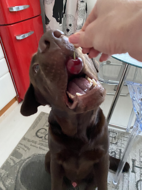 D0352-A72-095-C-4452-925-E-2-D16-DE0-E8-