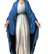 0-c36d8-c19c9844-XL