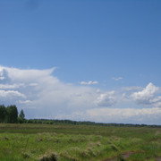 DSC00640