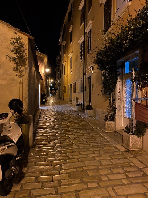 IMG-1531
