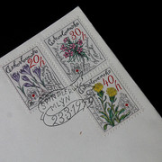 IMG-4245