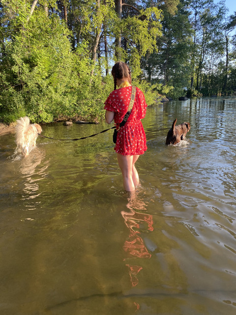 19-C99637-01-B7-42-E5-934-D-B72-A784339-