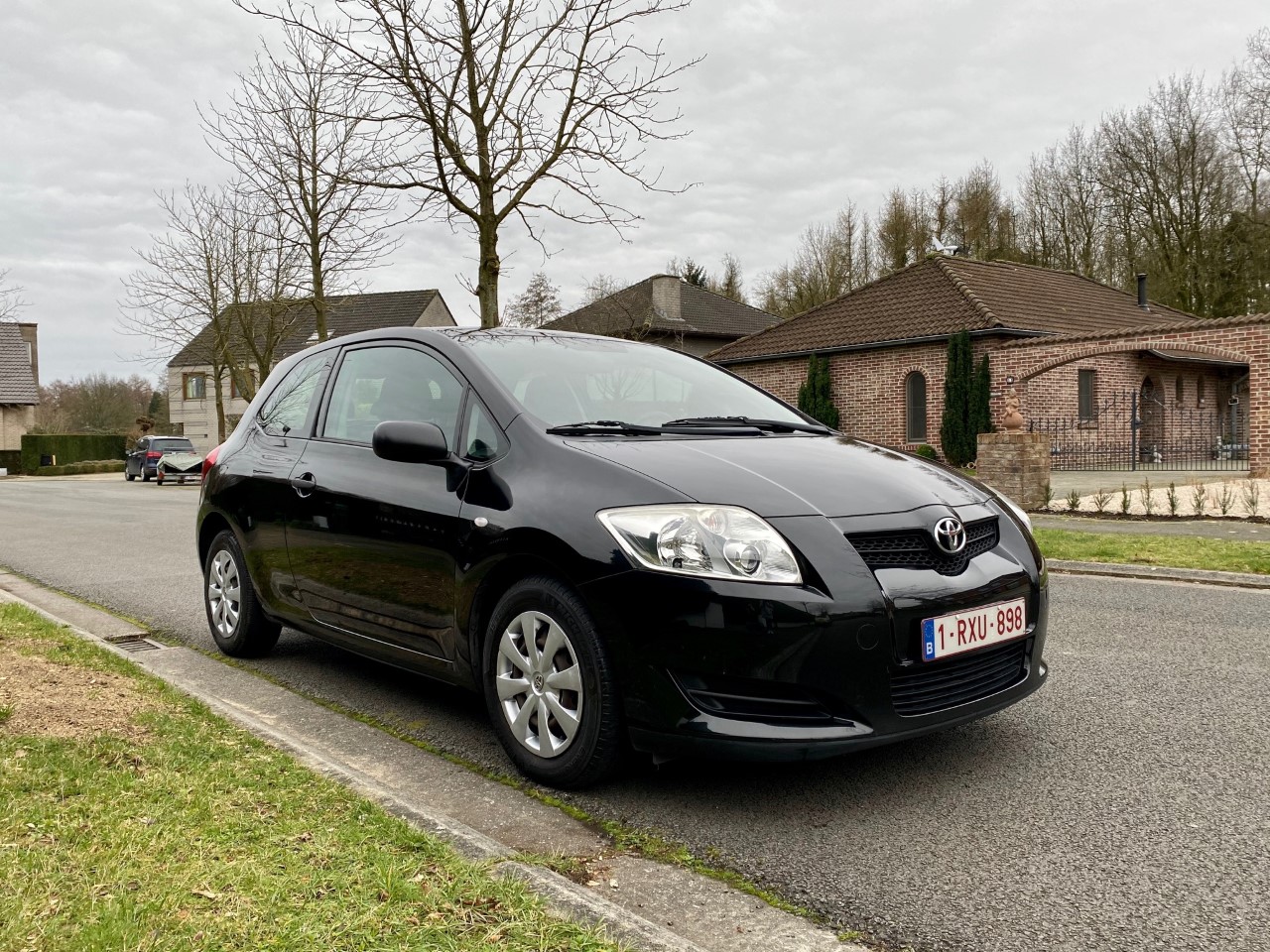 auris1.jpg