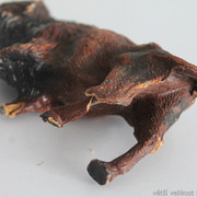 IMG-6642