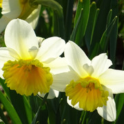 DSC00258