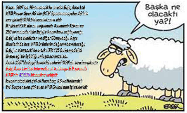 nolcakt.jpg