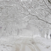 1c001401m21
