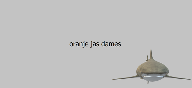 oranje-jas-dames