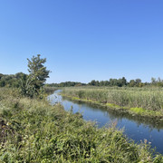 IMG-6541