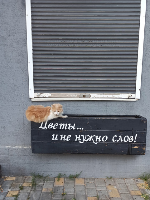 IMG-20230630-193440