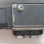 IMG-2545