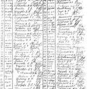 82