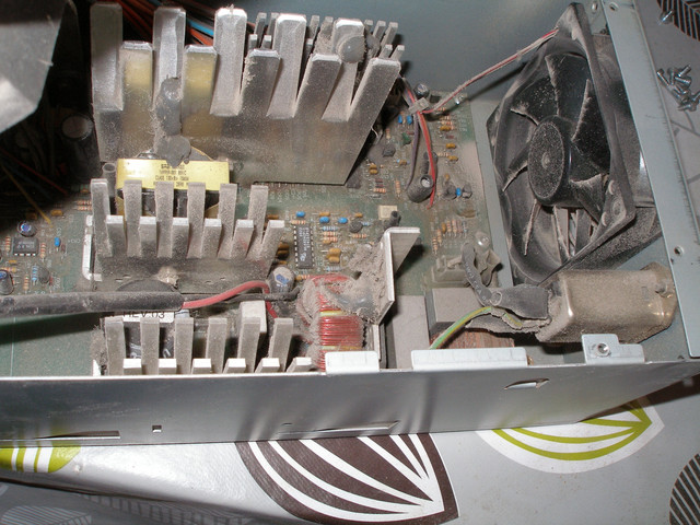 P3120006.jpg