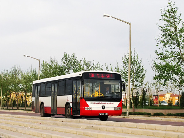 IMG-6334