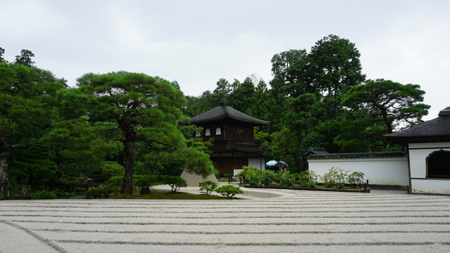 DSC06012