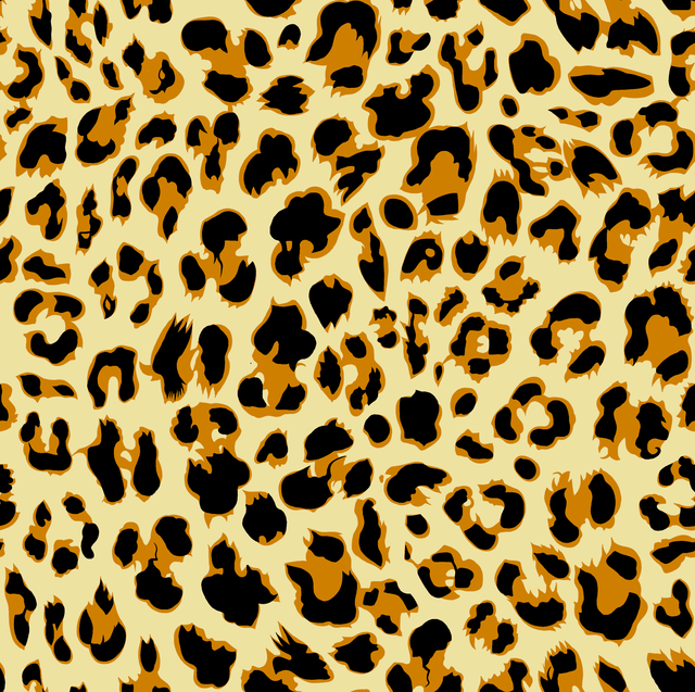 481-copy.png