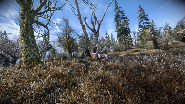 Screen-Shot52