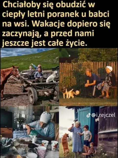 1d2124cf60b3d8a96de5cfdb3191b44c-2