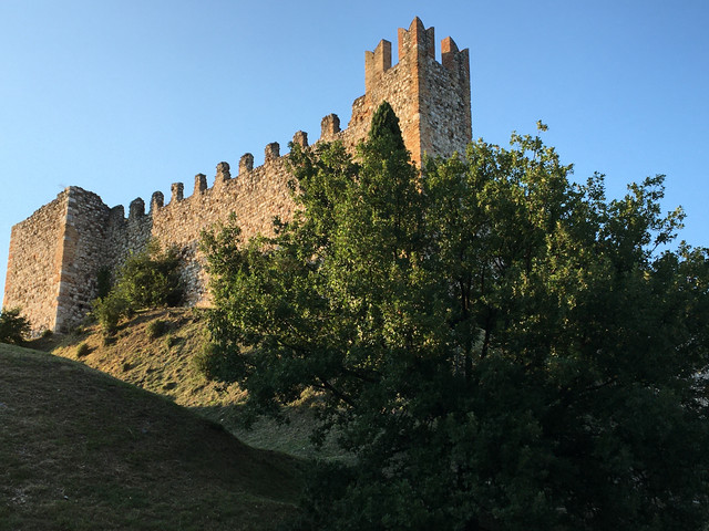 IMG-1020
