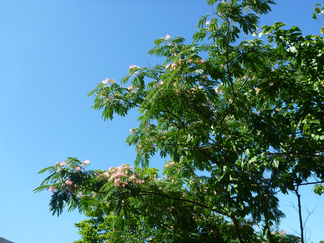 P1320154.jpg