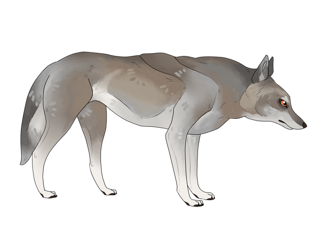 Sept-2020-slender-8.png