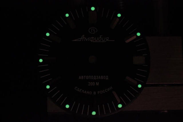 IMG-4716.jpg