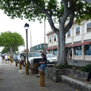 P1070826