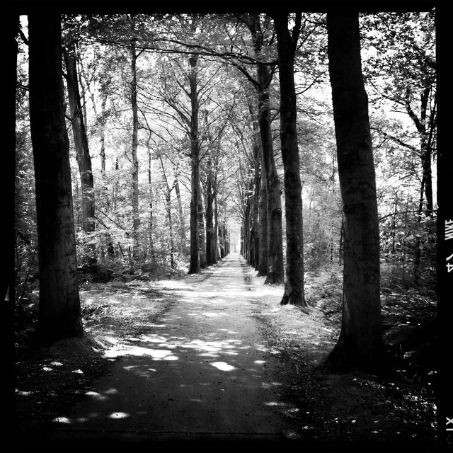 IMG-0545