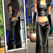 Vampire-Hunter