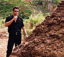 IMG-2650.gif