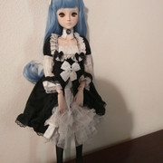 lorimaid