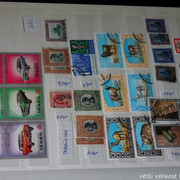 IMG-3771