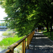 IMG-1025