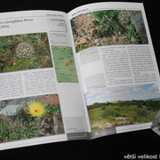 IMG-3297