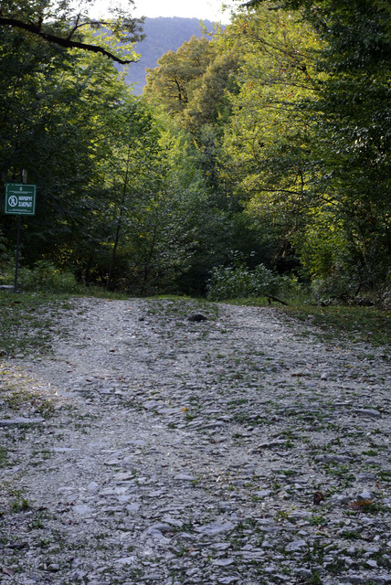 DSC7102.jpg