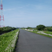 DSC-0108