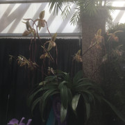 IMG-4733