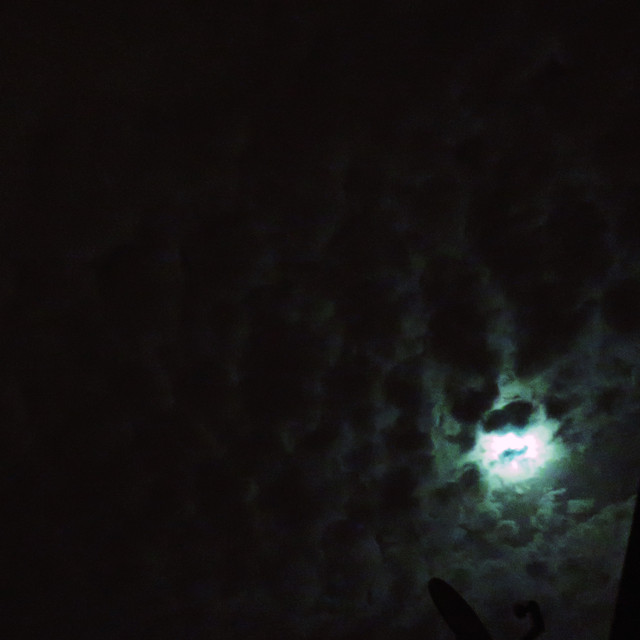 Pmoon-019.jpg