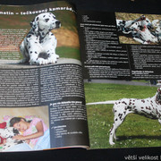 IMG-7766