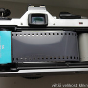 IMG-1895