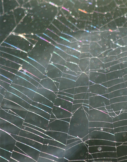Web.jpg