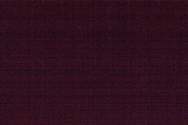 IMG-1998