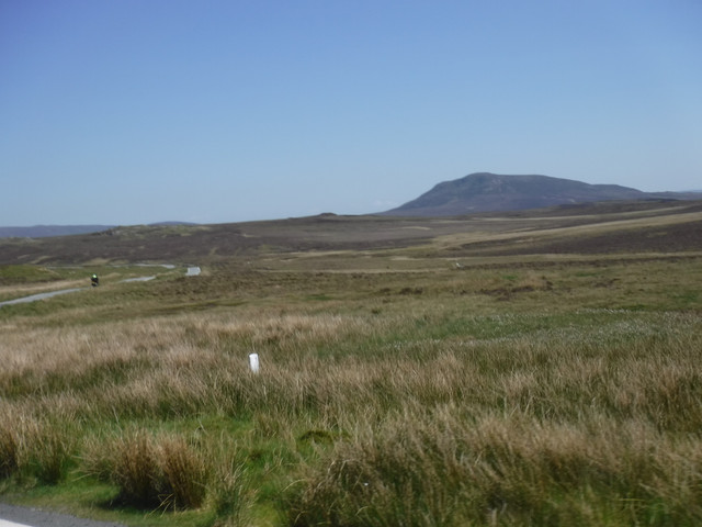 DSCF7916.jpg