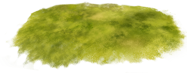 Lawn