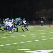 IMG-0349