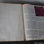IMG-1706