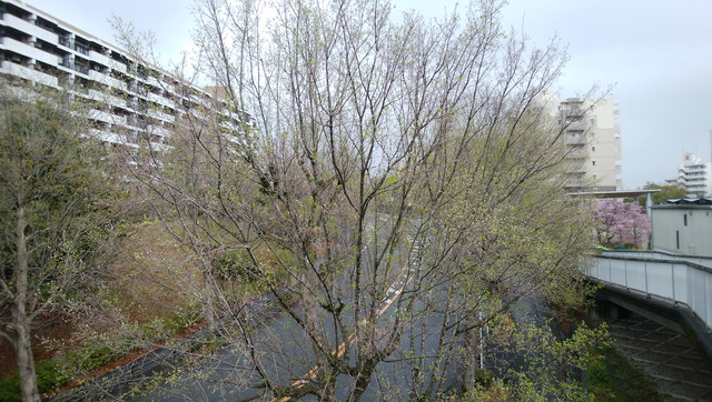 DSC-0071.jpg