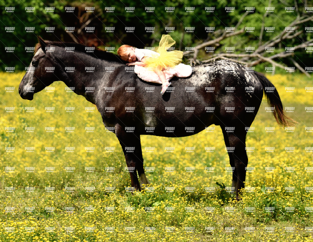 another.png