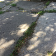 IMG-7475