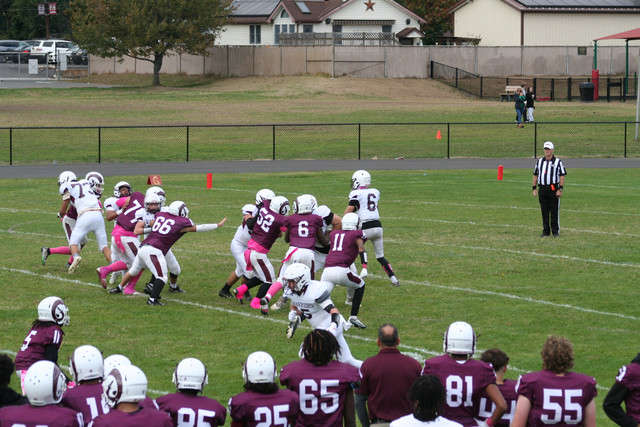 IMG-0070.jpg